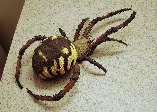 Toy Spider