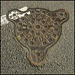 "teddy bear" manhole cover