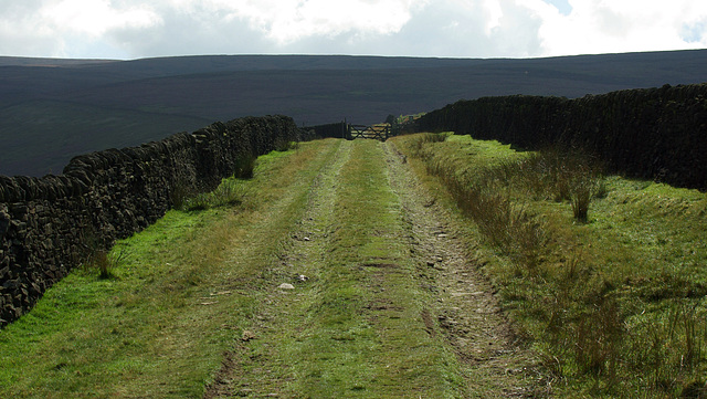 Bray Clough Track