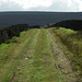 Bray Clough Track