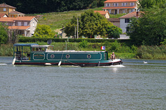 ballade sur les bords de Saône