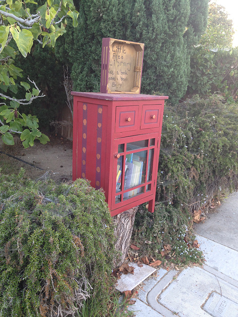 Little Free Library in my neighborhood