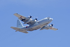 Japanese Maritime Self-Defense Force Lockheed KC-130R Hercules