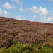 Bray Clough Heather + A380