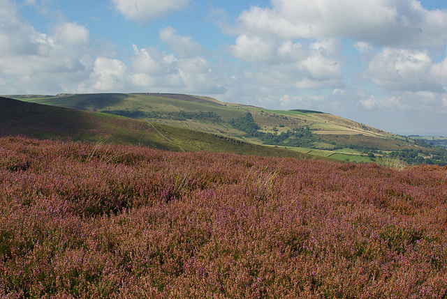 Whiteley Nab and Lower Worm Stones