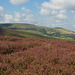 Whiteley Nab and Lower Worm Stones