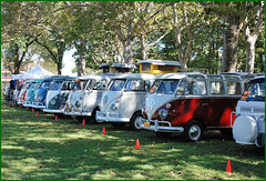 So many VW Buses!