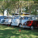 So many VW Buses!