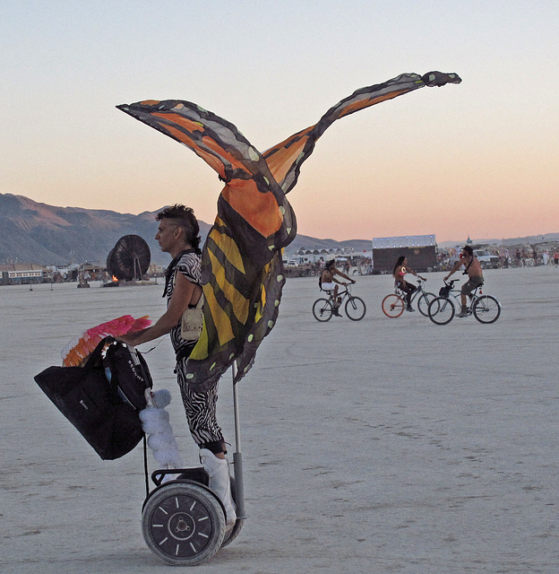 Segway Butterfly (0521)