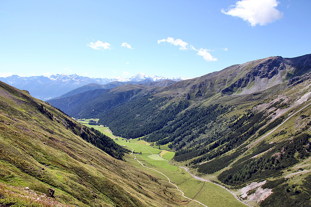 Schliniger Tal