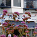 Weymouth: Fish and Chips