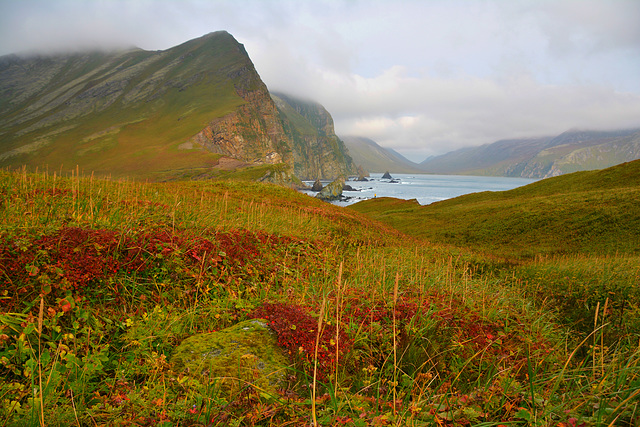 Aleutian Islands