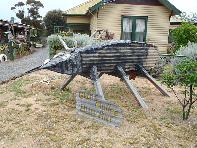 Stockmans Hut Gallery, Lascelles