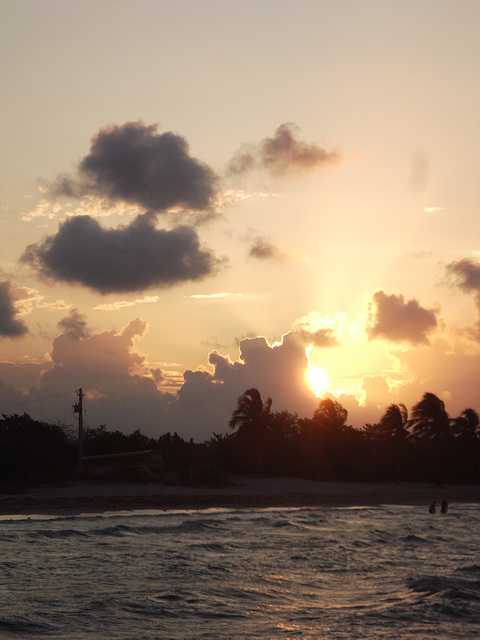 Baignade au petit matin / Early morning swim.