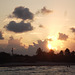 Baignade au petit matin / Early morning swim.