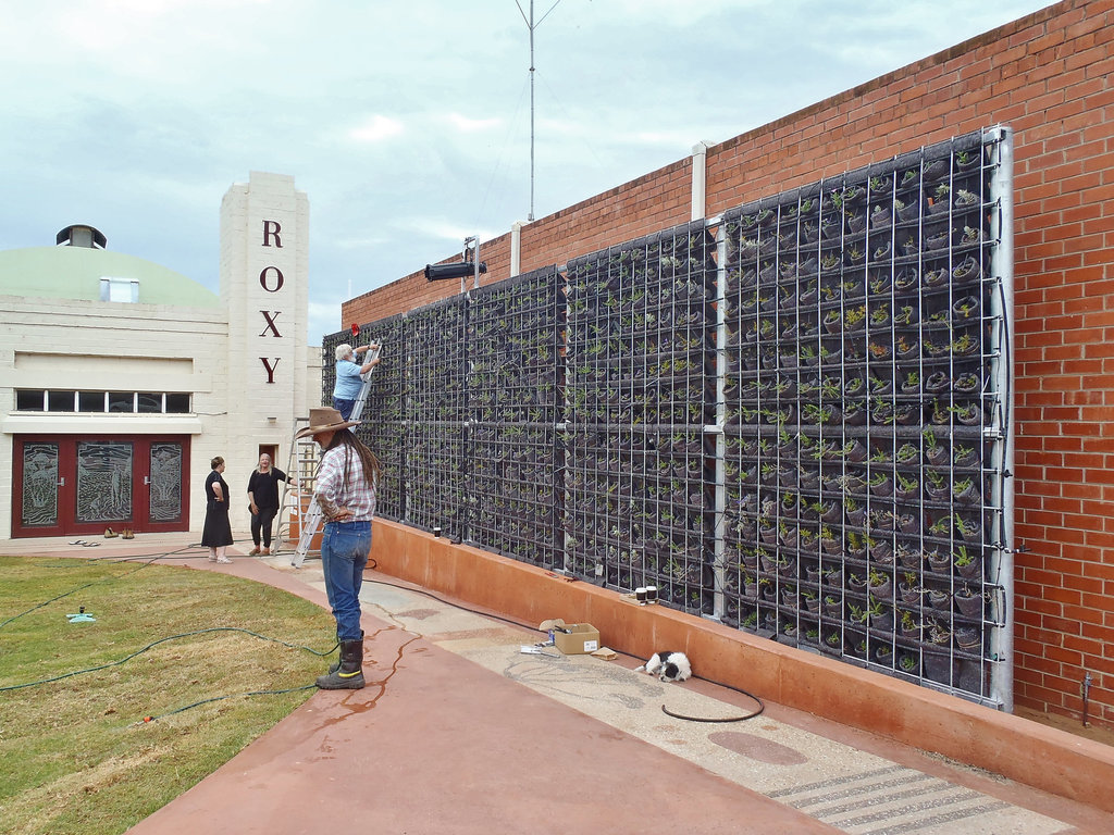 vertical garden in Ouyen