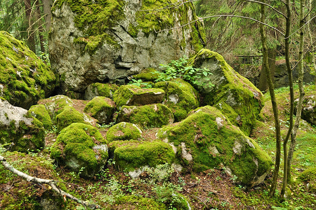 Felsen