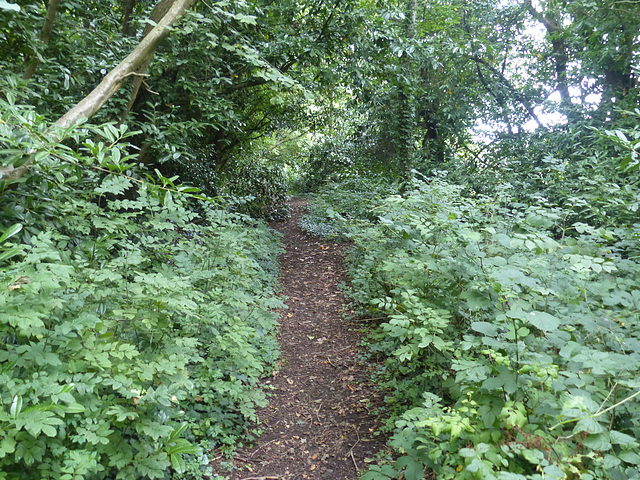 Lady Wimborne Bridge (3) - 1 September 2014