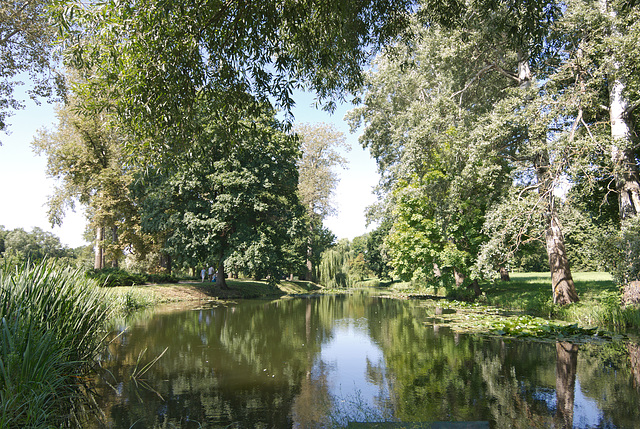 Silberdunst-Teich