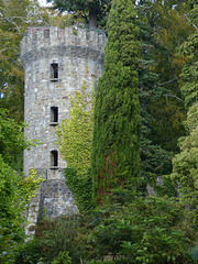 Powerscourt (20) - 24 September 2014