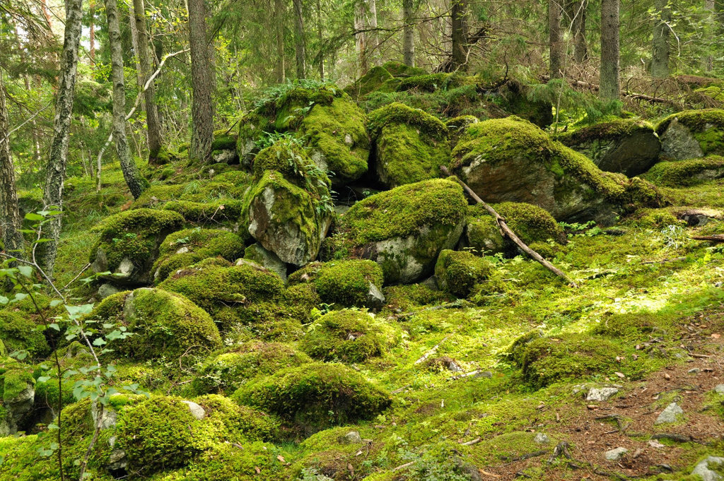 Noch mehr Felsen