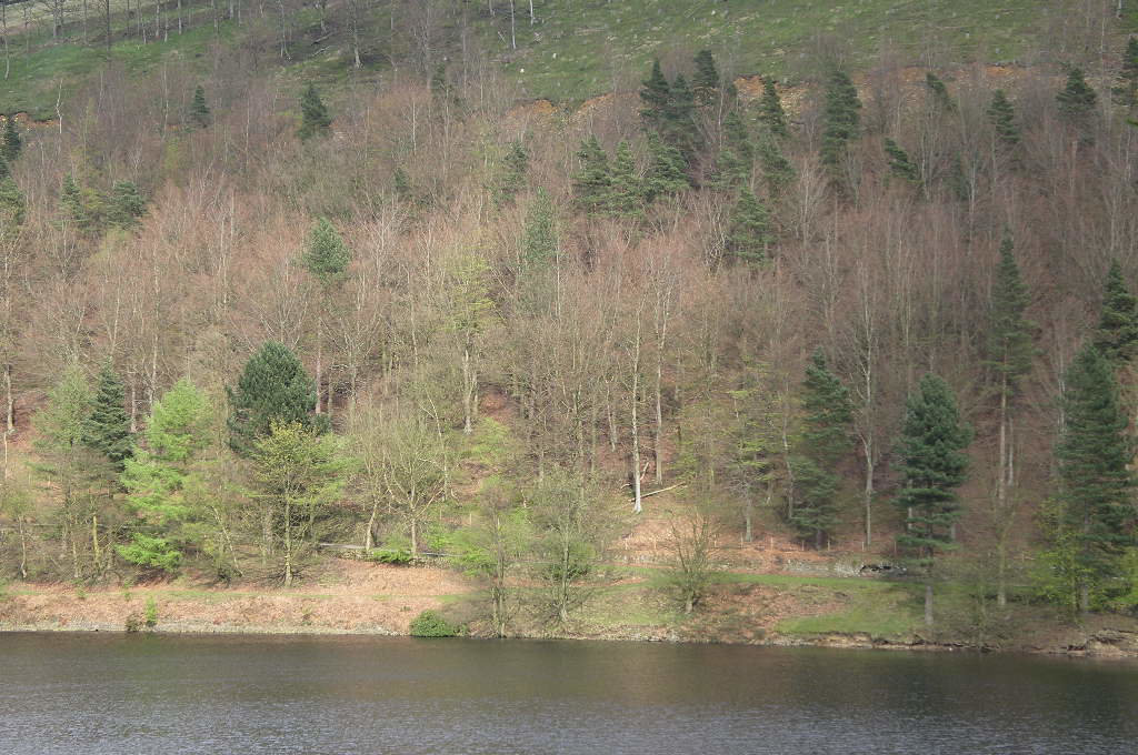 Derwent Reservoir East side