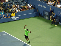 Gael Monfils