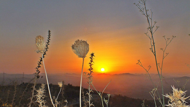 Bonne fin de semaine/Happy weekend.