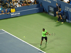 Gael Monfils