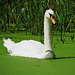 swan on the hackney cut,  bow, london