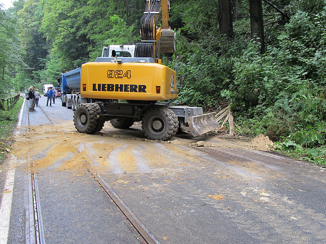 Felssturz im Kirnitzschtal