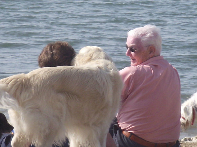 Friendly dog visited these people sitting on the beach