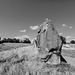 Avebury - 20140806