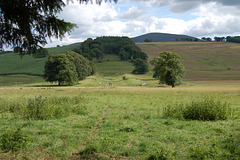 Site of ornamental canal? Former gardens of ruinous Carmichael House, Lanarkshire