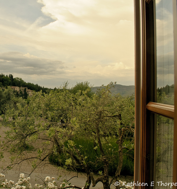 Villa Bordoni Greve in Chianti Tuscany - Room with View - 052514-005