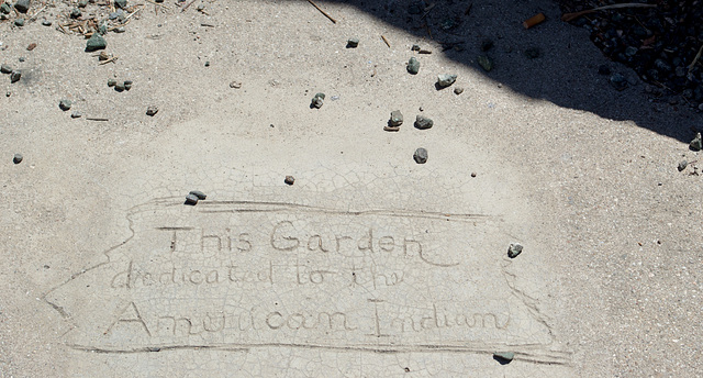 San Jacinto Rock Garden (0544)