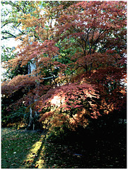 Ocober morning Ocober morning