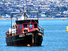 In Tauranga Harbour.