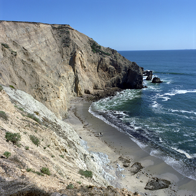 Elephant Seal Bed & Breakfast