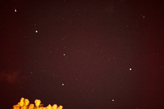 Ursa Major