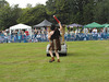 rspcagdsep72014 (1080)