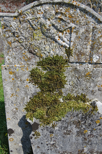 potter heigham church, norfolk