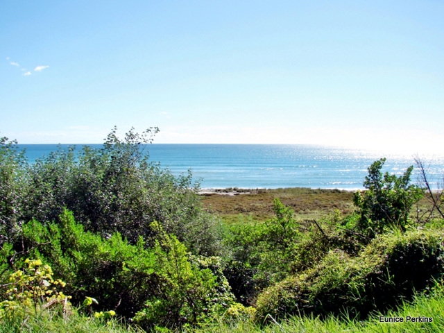 Bay of Plenty coastline