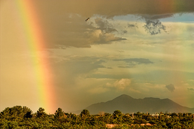 A Misty Rainbow