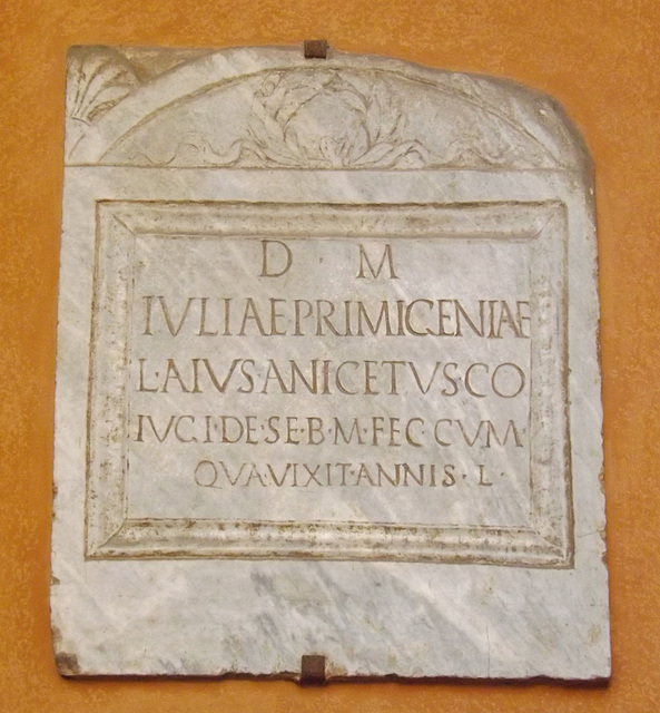 Latin Inscription in the American Academy in Rome, June 2012