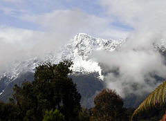 Fox-glacier- Te Moeka o Tuawe