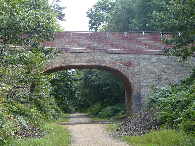 Southampton and Dorchester Railway (3) - 31 August 2014