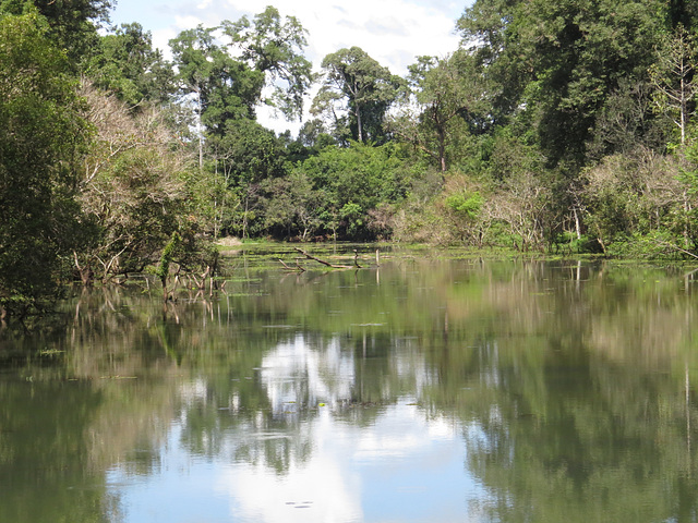 Preah Khan : douves de la 4e enceinte.