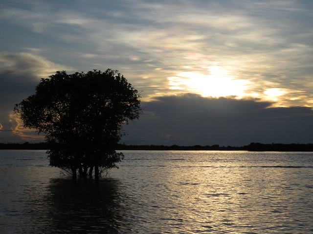 Tonle Sap, 8