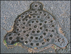 Broads manhole cover